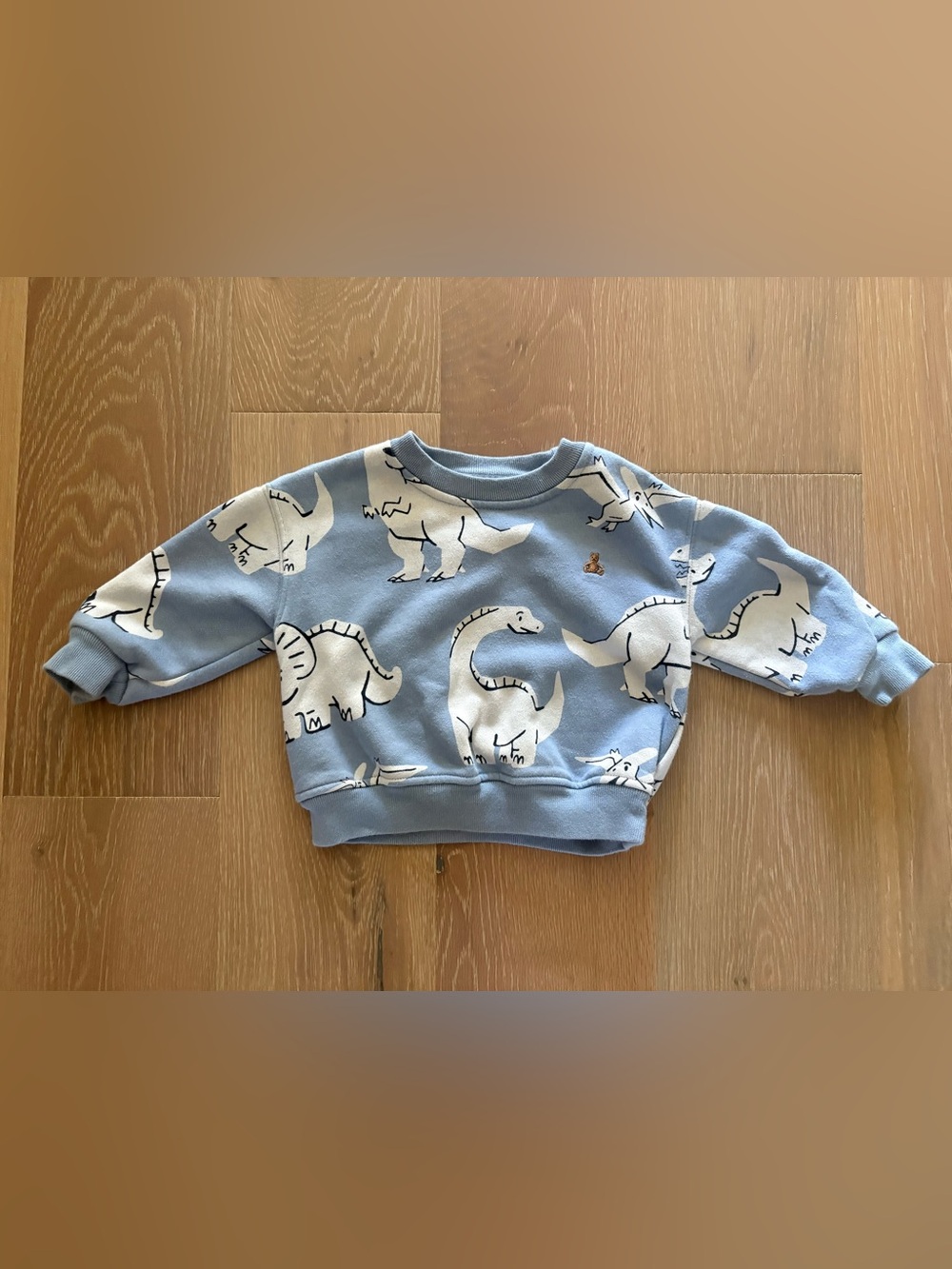 Gap Baby Blue Dino Print Kids Sweatshirt